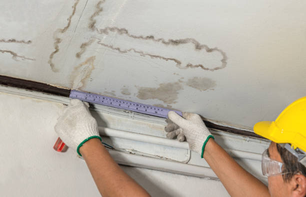 Reliable Burst Pipe Cleanup contractor in Anoka, MN by Water Damage Irwin